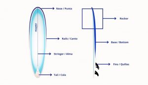 partes-de-una-tabla-de-surf